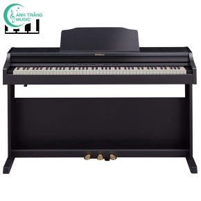 Roland RP-501R( Mã SP : RP-501R-CB )
