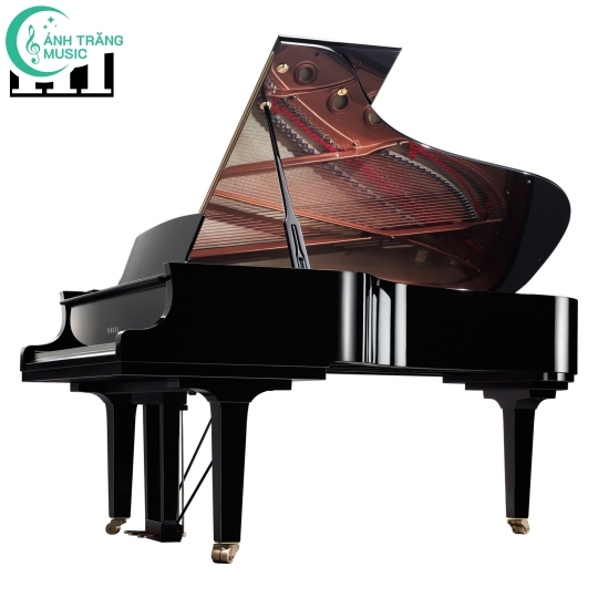 Đàn Yamaha Grand New Piano C7X