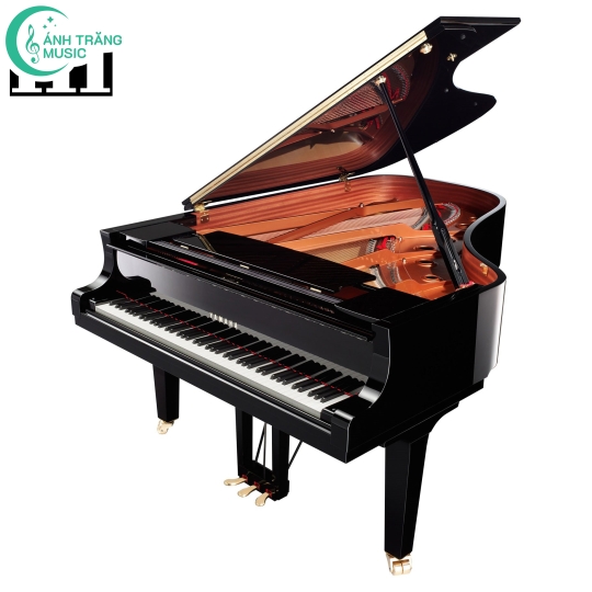 Đàn Yamaha Grand New Piano CX6