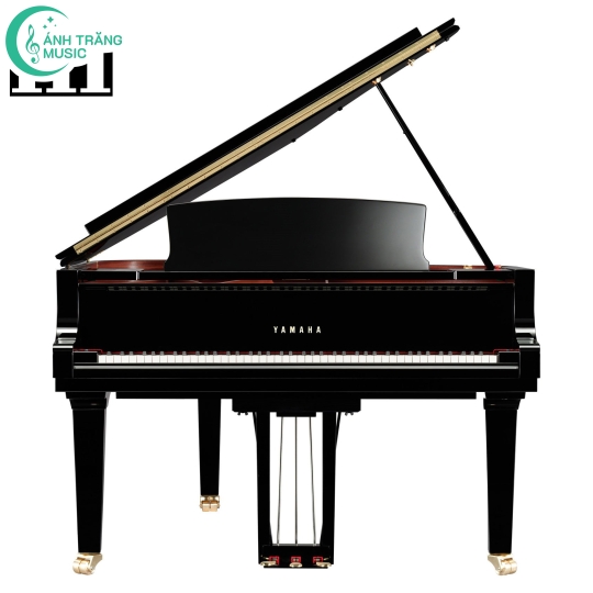 Đàn Yamaha Grand New Piano CX6