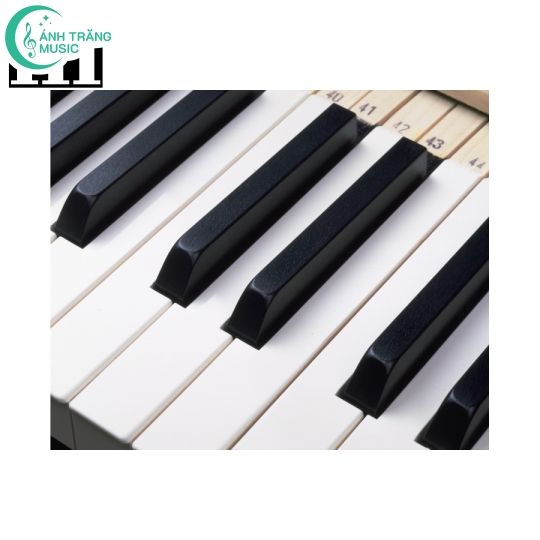 Đàn Kawai Grand Piano RX-1