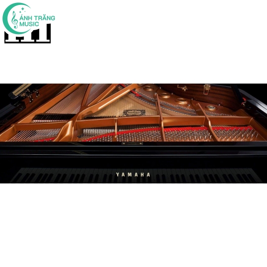 Đàn Yamaha Grand New Piano C7X