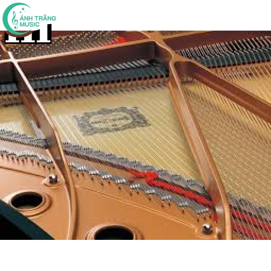 Đàn Yamaha Grand New Piano C1X