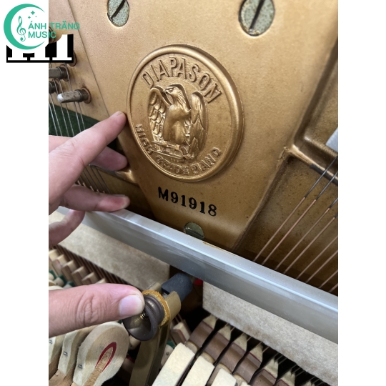 Piano Diapason 132SW