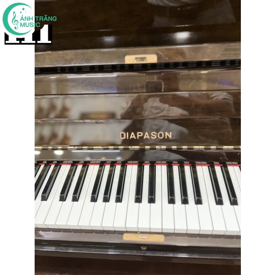 Piano Diapason 132SW