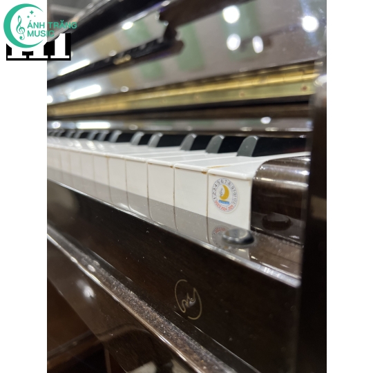 Piano Diapason 132SW
