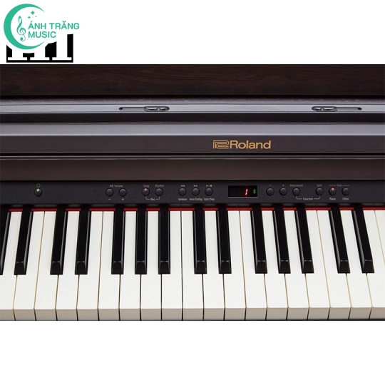 Roland RP-501R( Mã SP : RP-501R-CB )
