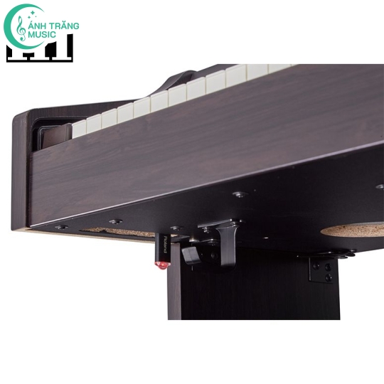 Roland RP-501R( Mã SP : RP-501R-CB )