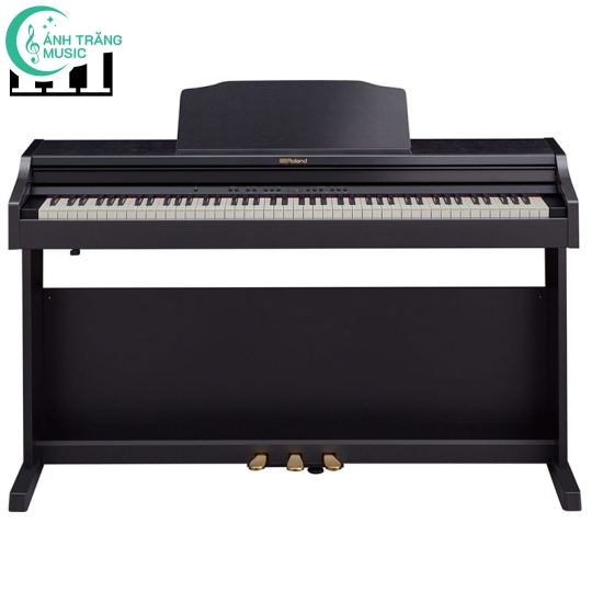 Roland RP-501R( Mã SP : RP-501R-CB )