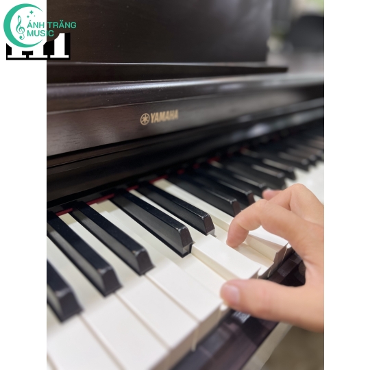 YAMAHA YDP-164 R