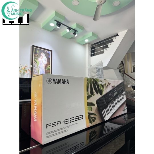 PSR- E283