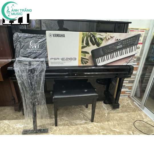 PSR- E283