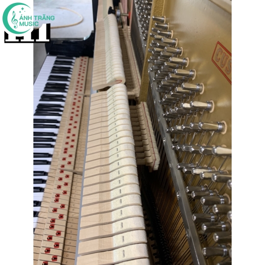 KAWAI BL 31