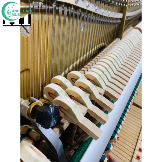 KAWAI BL 31